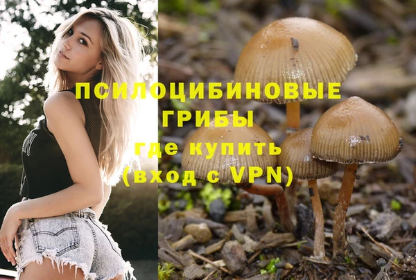 дурь Абдулино
