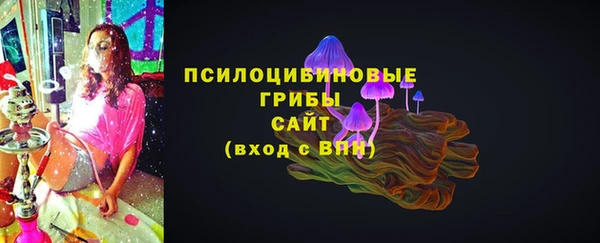 дживик Абинск