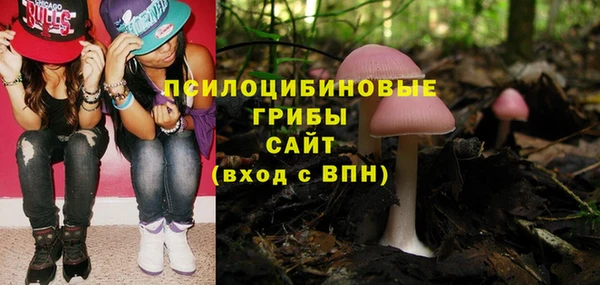 дживик Абинск