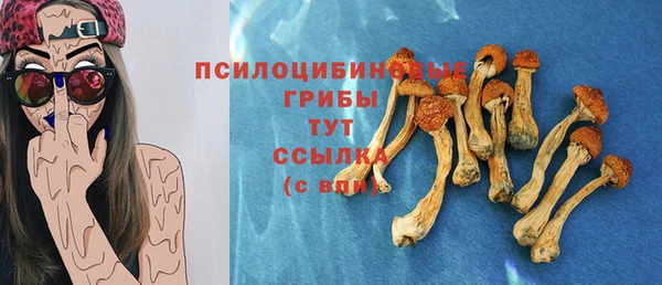 дурь Абдулино